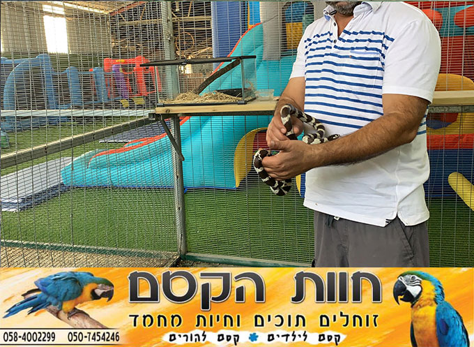 جديد في كفر قاسم - חוות הקסם